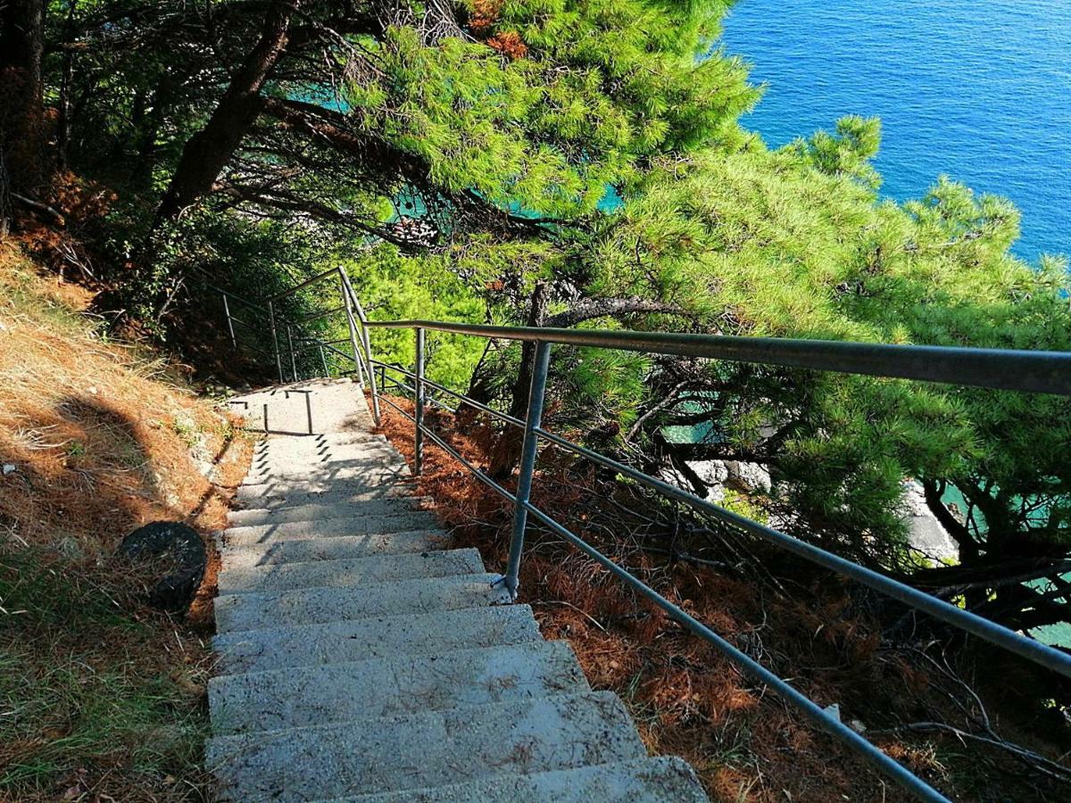 Apartments Villa Jadranka Marusici  المظهر الخارجي الصورة